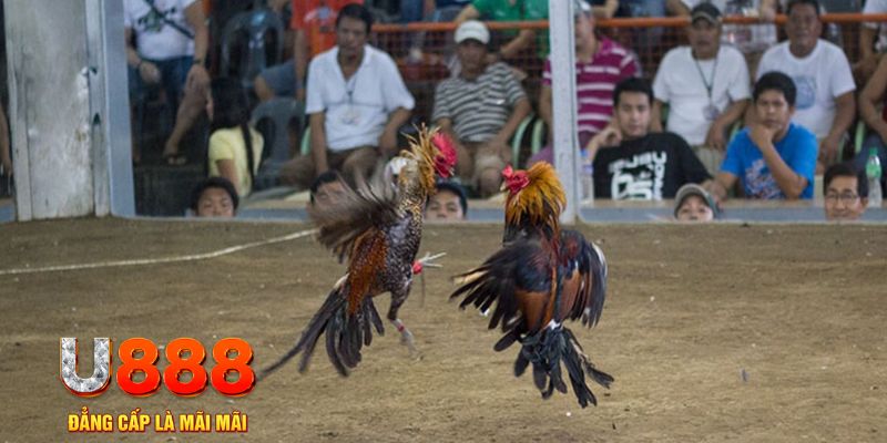 68win đăng nhập mậu binh khuyến mãi
