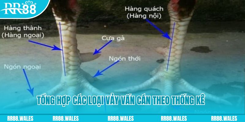 68win xổ số miền nam thứ sáu
