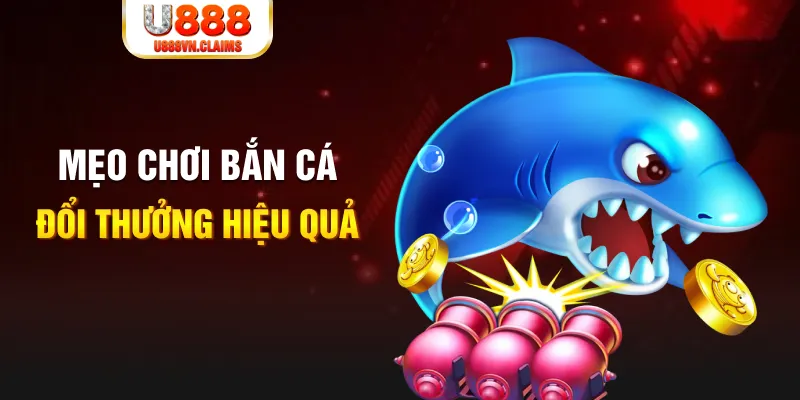 68win gà chọi cam ranh