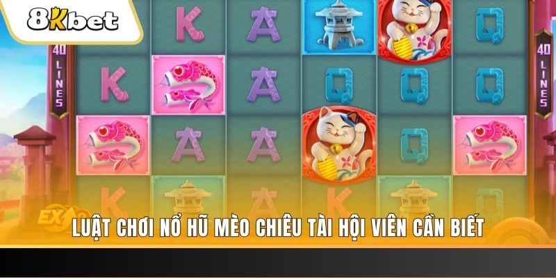 68win gà chọi cu cần