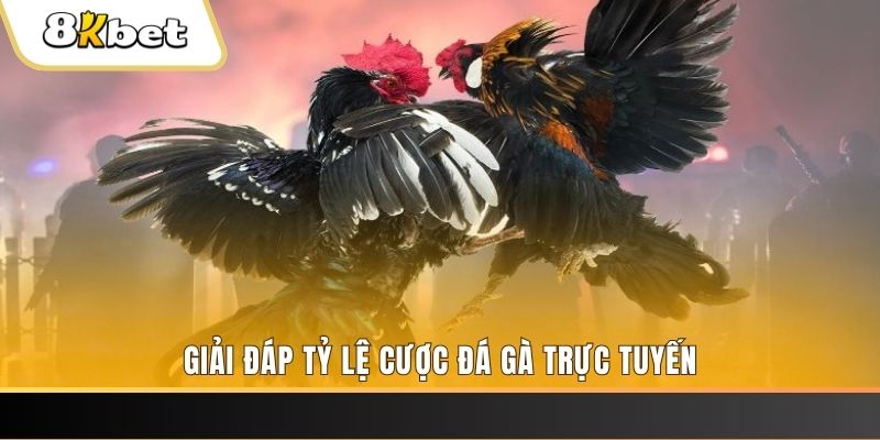 68win ban ca online