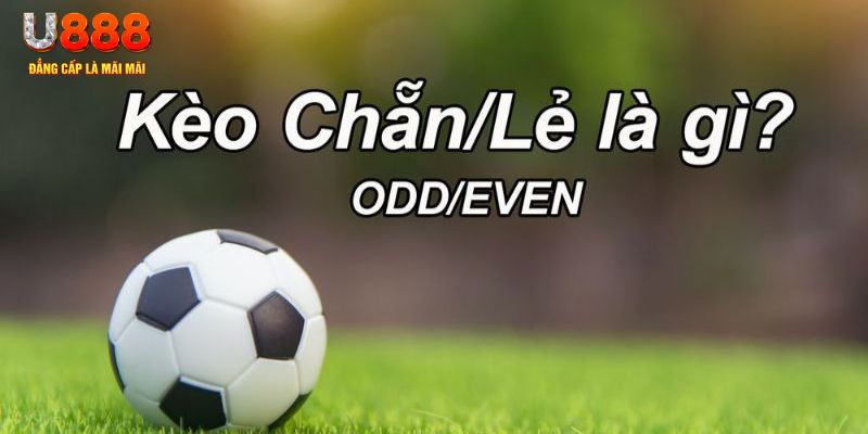 68win đăng nhập sòng bạc 2024